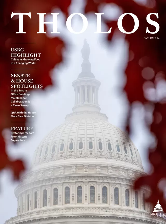 Cover image for Volume 24 of Tholos magazine. Red leaves frame the U.S. Capitol dome and Statue of Freedom.