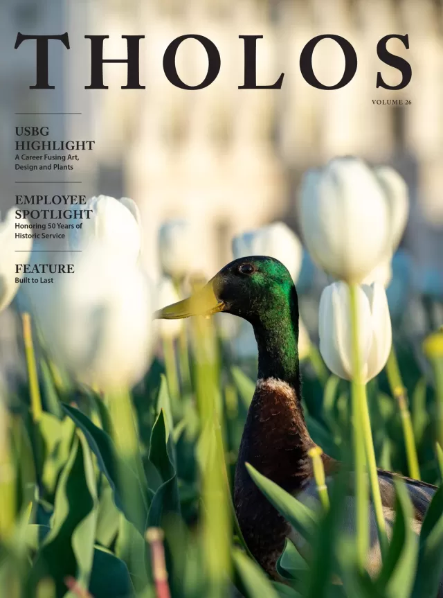 A duck standing in flowers.