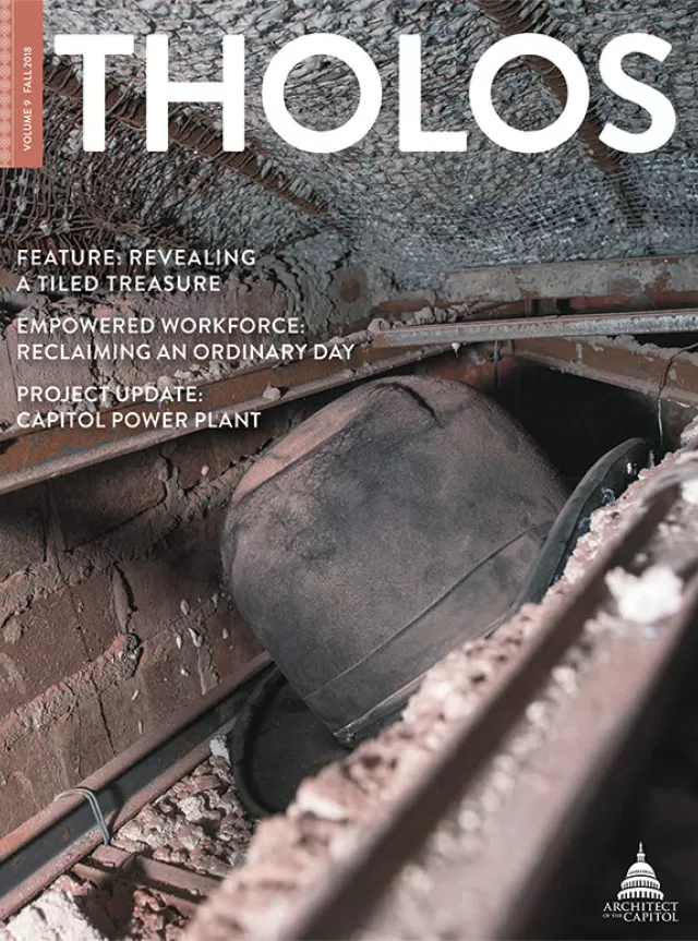 Tholos Magazine cover, Volume 9 Fall 2018.