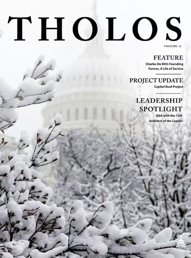 Tholos Magazine cover, Volume 12 Winter 2020.