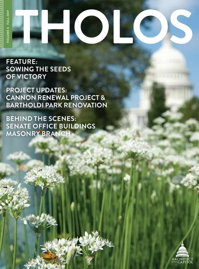 Tholos Magazine cover, Volume 6 Fall 2017.